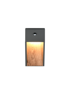 Trio – Salmon – Applique murale LED extérieure imitation bois, 11W, 1200lm, 3000K, IP44 2