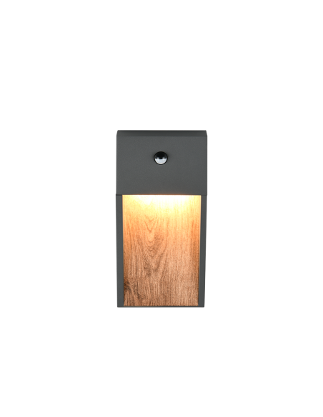 Trio – Salmon – Applique murale avec détecteur de mouvement, effet bois anthracite, LED 11W, sécurité extérieure