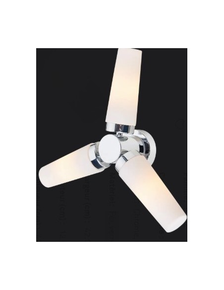 Installation plafond sécurisée, parfaite pour un éclairage fonctionnel dans un espace humide.