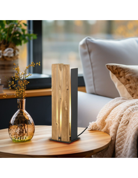 Trio  – Luminaire décoratif 1xE27, max 10W,parfait pour créer une ambiance cosy et moderne