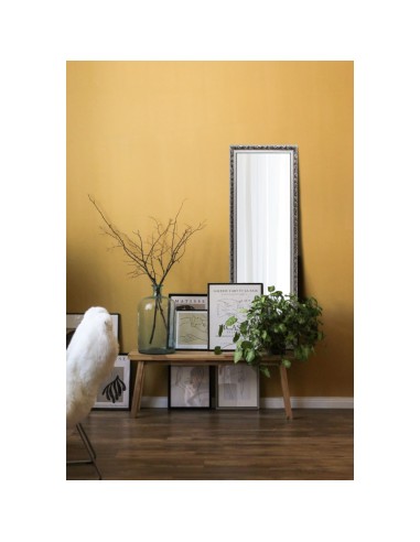 Mirrors and More - Tanja - Miroir encadré argent 50x150cm