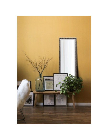 Mirrors and More - Tanja - Miroir encadré argent 50x150cm