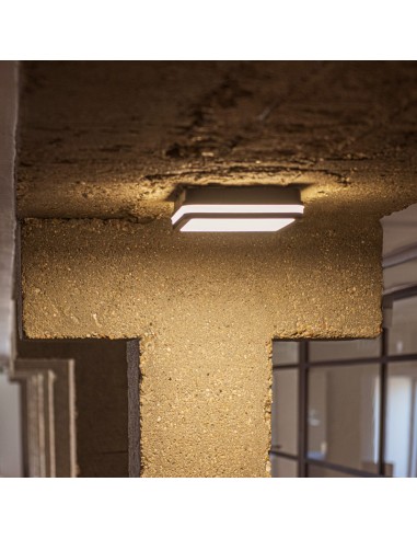 Kanlux - Beno - Plafonnier intérieur extérieur Led CCT IP 65