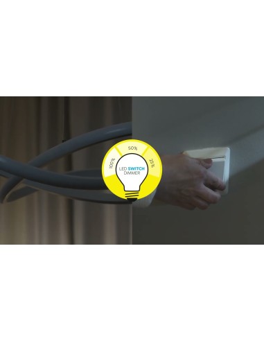 Ampoule LED Globe ambrée allumée avec éclairage 360 degrés chaleureux
