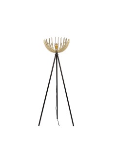 Athena - Atelier Loupiote - petit modèle - dessin technique 2