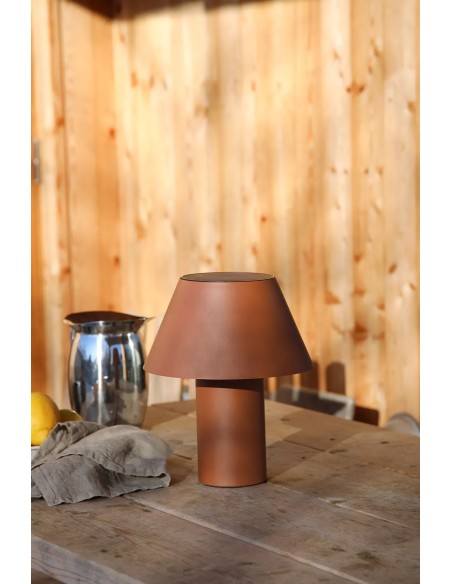 Lampe solaire Vivo marron avec éclairage LED blanc chaud 3000K