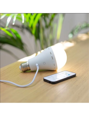 ampoule portable LED blanche 350 lumens Lapera Newgarden