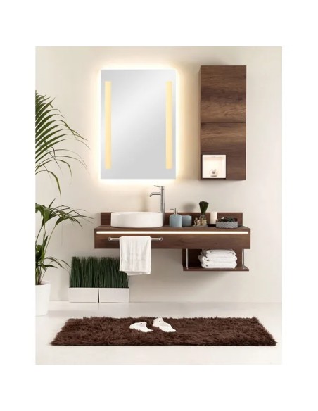 Miroir LED Lina 50x70 cm argenté éclairage intégré