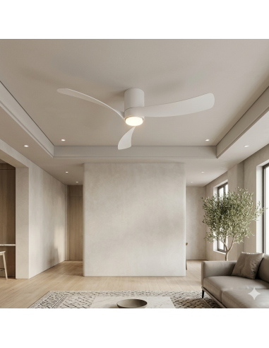 Ventilateur plafond Diam. 122 cm 24 W 3200LM 3000/5000K Blanc - Nemo M