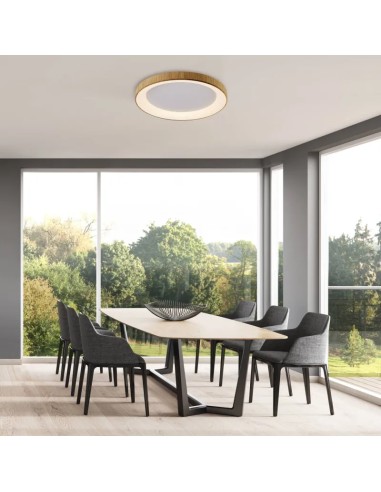 Plafonnier LED Niseko II installé dans grand salon contemporain lumineux