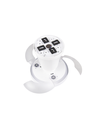Ventilateur plafonnier MOSS avec télécommande et lumière CCT réglable