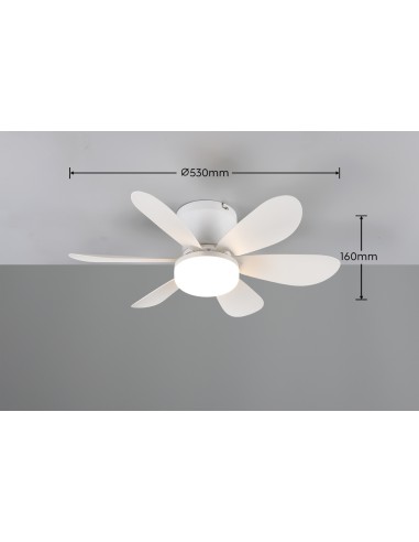 Ventilateur plafonnier LUND avec télécommande et lumière CCT réglable