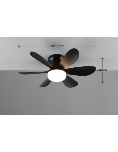 Ventilateur plafonnier LUND noir avec télécommande et lumière CCT