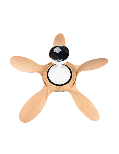 Ventilateur de plafond FLEN 108 cm avec télécommande et LED intégrée