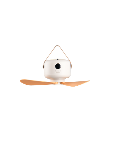 Plafonnier ventilateur LED RENA 27 cm télécommande et batterie intégrée
