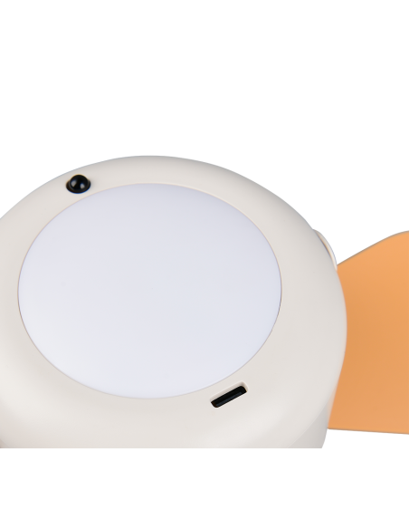 Ventilateur plafond LED RENA rechargeable USB 27 cm