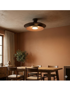 Ventilateur plafond Diam. 106cm 20W 3000/5000K Café - Mantra - Patagonia 2