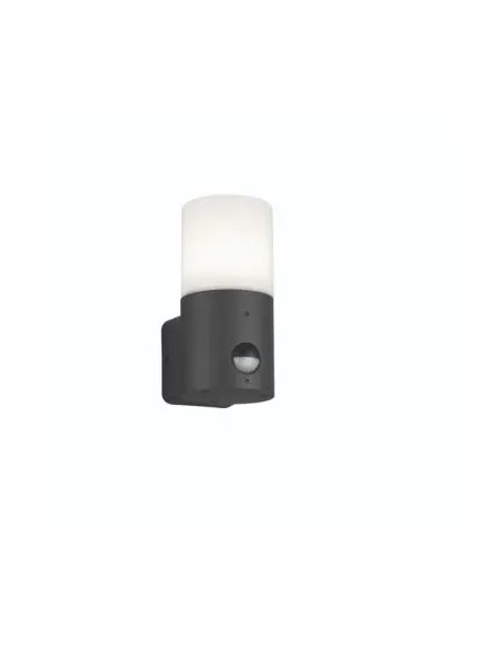 Petite applique extérieure Hoosic anthracite avec détecteur de mouvement IP44