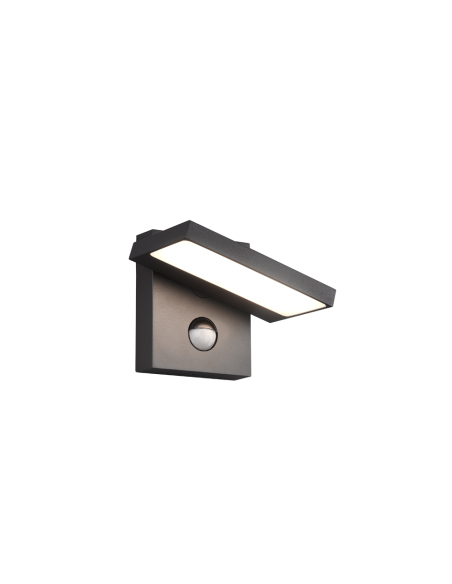 Applique LED extérieure Horton anthracite 8W 1000 lumens avec détecteur IP54
