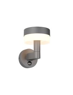 Applique LED extérieure Mackenzie anthracite avec détecteur de mouvement IP54