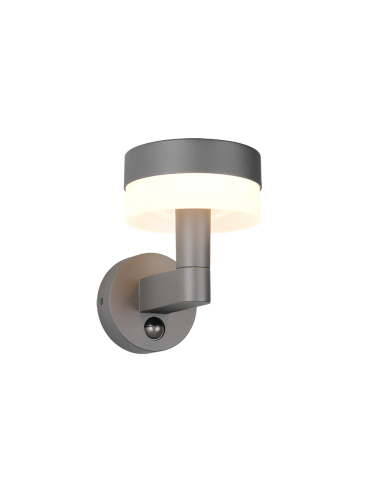 Applique LED extérieure Mackenzie anthracite avec détecteur de mouvement IP54