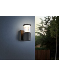 Applique LED extérieure Tagus anthracite 13W 1500 lumens IP65 2