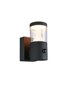 Applique extérieure LED Tagus anthracite avec détecteur de mouvement IP54