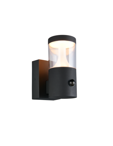 Applique extérieure LED Tagus anthracite avec détecteur de mouvement IP54