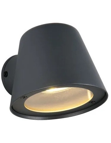 Applique extérieure BENI anthracite avec diffuseur en verre transparent