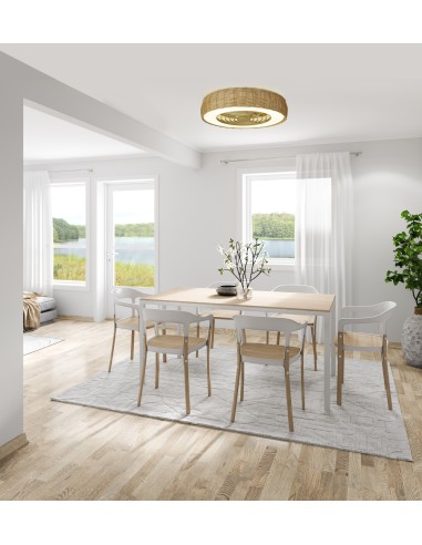 Ventilateur plafond Diam.65 cm 70W 27000/5000K Bois - Mantra - Kilimanjaro