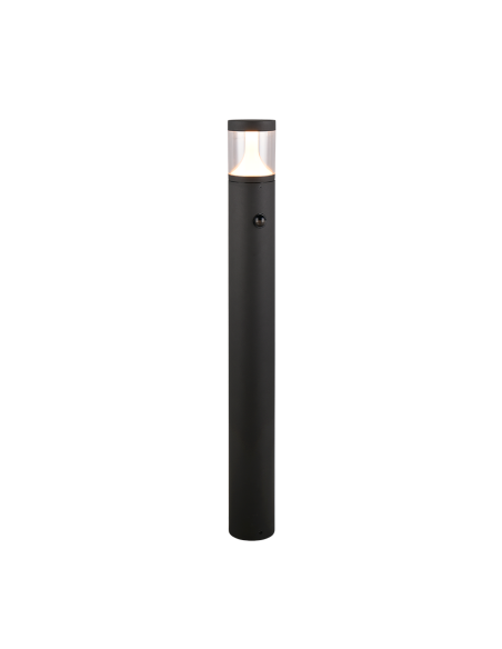 Borne lumineuse extérieure Tagus LED anthracite 1500 lumens