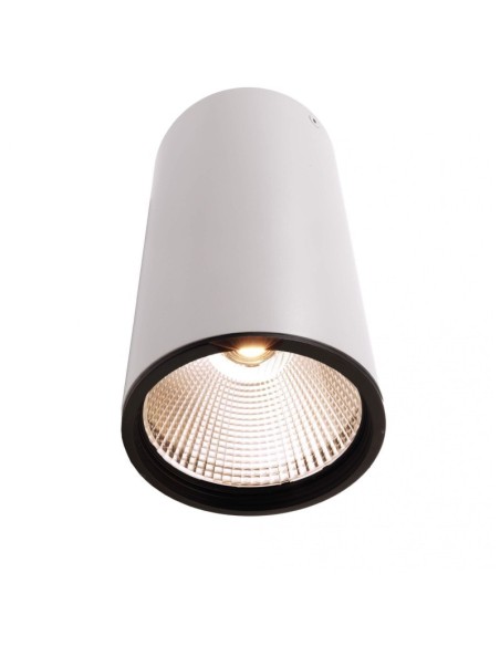 Plafonnier Led haute puissance  blanc 3000K - Deko Light - Luna 40 Leluminaireled.com