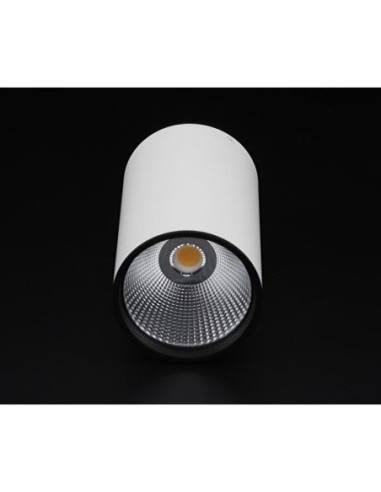 Plafonnier Led haute puissance  blanc 3000K - Deko Light - Luna 40 Leluminaireled.com