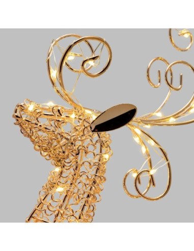 Renne décoratif lumineux éclairage fixe  blanc chaud - Lotti Leluminaireled.com