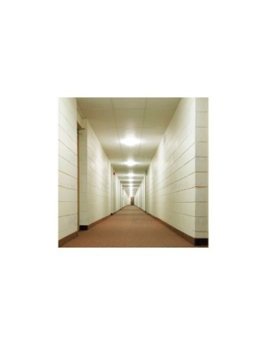 Plafonnier/applique Led intérieur/extérieur IP 65 - Kanlux - Stivi Leluminaireled.com