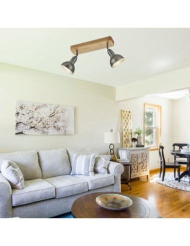 Plafonnier/applique Led 2 lampes culot E14 - Trio - Delhi II Leluminaireled.com