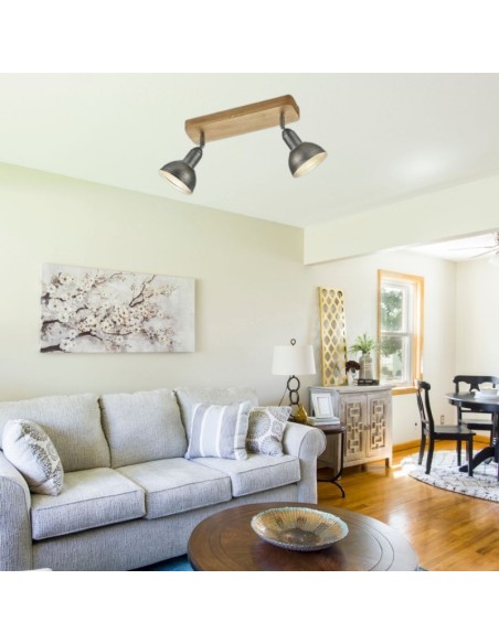 Plafonnier/applique Led 2 lampes culot E14 - Trio - Delhi II Leluminaireled.com