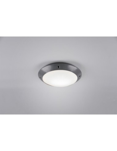 Plafonnier Led étanche culot E27 anthracite ou blanc  - Trio - Camaro Leluminaireled.com