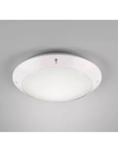 Plafonnier Led étanche culot E27 anthracite ou blanc  - Trio - Camaro Leluminaireled.com
