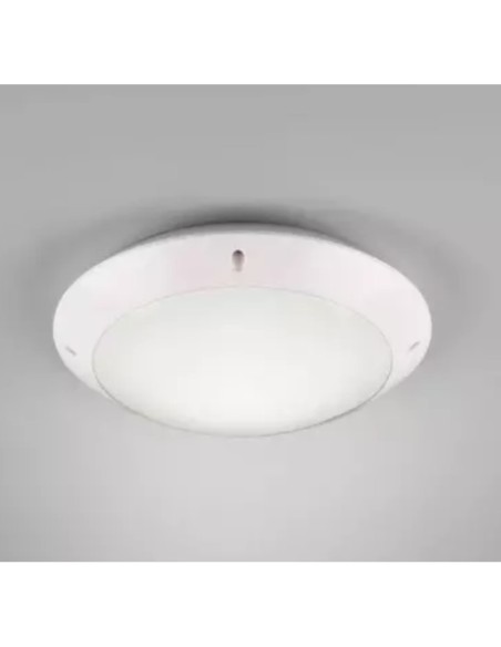 Plafonnier Led étanche culot E27 anthracite ou blanc  - Trio - Camaro Leluminaireled.com