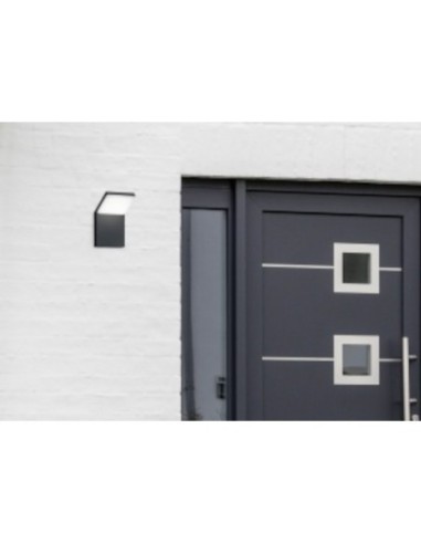 Applique  Led murale extérieure IP54 8W avec ou sans détecteur- Trio - Pearl Leluminaireled.com