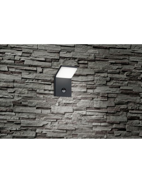 Applique  Led murale extérieure IP54 8W avec ou sans détecteur- Trio - Pearl Leluminaireled.com