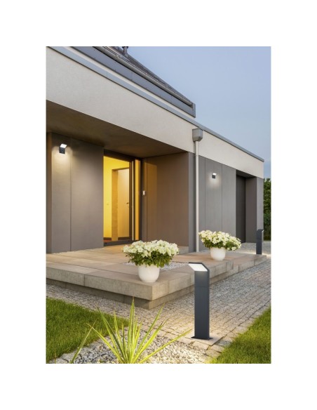 Applique  Led murale extérieure IP54 8W avec ou sans détecteur- Trio - Pearl Leluminaireled.com