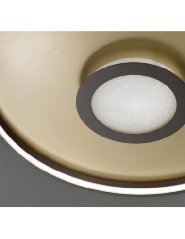 Plafonnier/applique Led intensité variable - Fisher & Honsel -  Bug Leluminaireled.com