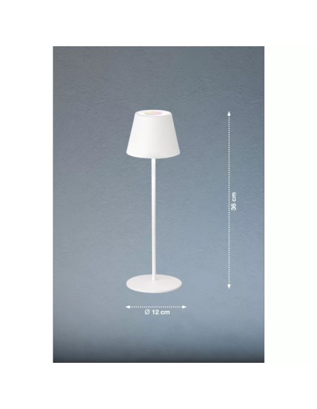 Cosenza de Fischer&Honsel - dessin technique