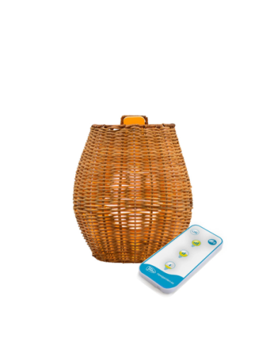 Applique extérieure Saona de New garden telecommande