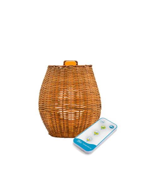 Applique extérieure Saona de New garden telecommande