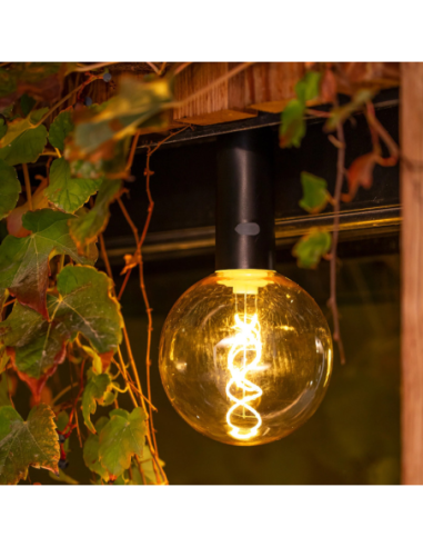 Ampoule Led vintage à pendre Edy G125 - New Garden